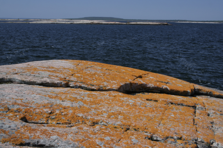 lizard island georgian bay